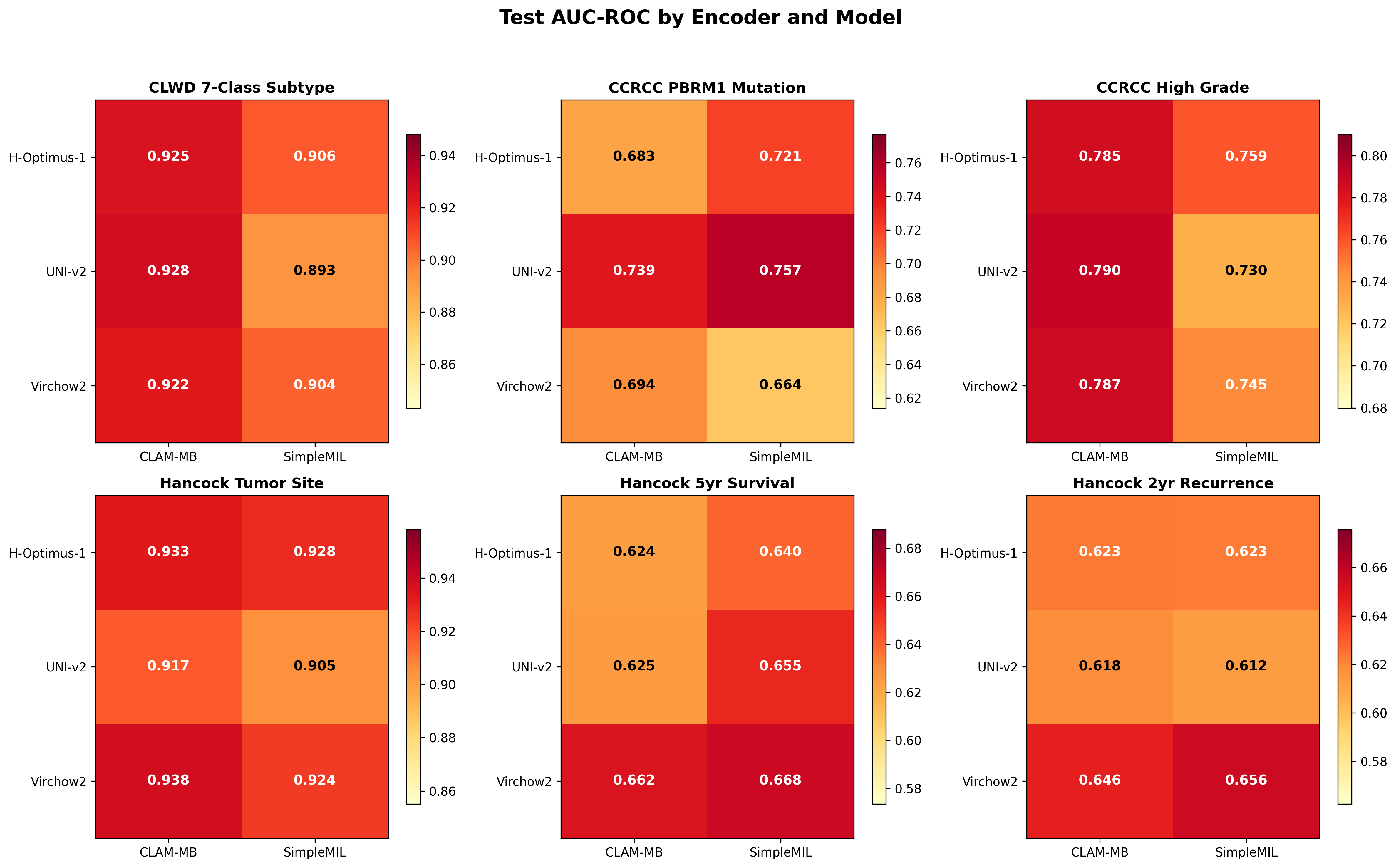 AUC Heatmap