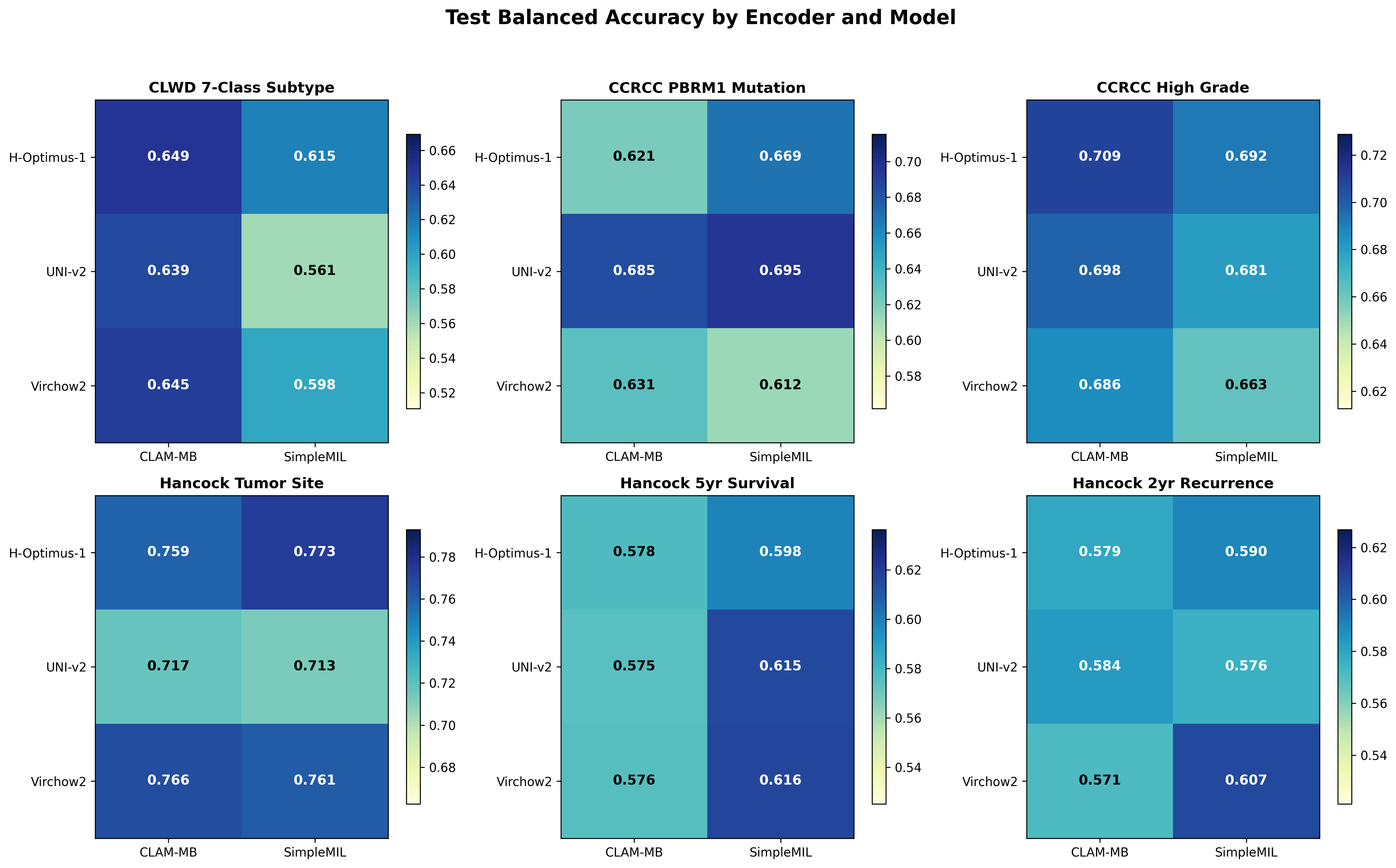 bACC Heatmap